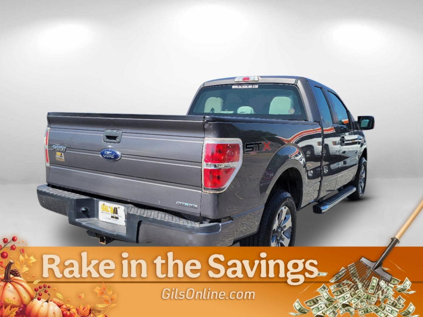 2013 Gray Ford F-150 STX (1FTFX1CF1DK) with an Gas/Ethanol V8 5.0L/302 engine, 6-Speed Automatic transmission, located at 5115 14th Ave., Columbus, GA, 31904, (706) 323-0345, 32.511494, -84.971046 - 2013 Ford F-150 STX - Photo#8