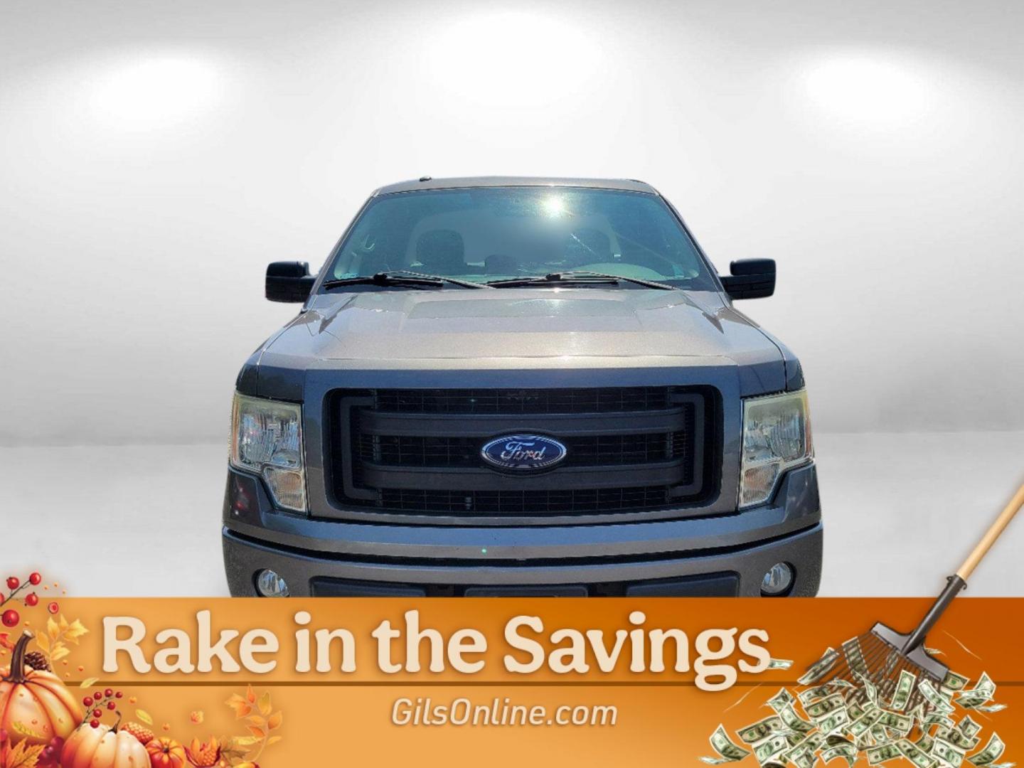 2013 Gray Ford F-150 STX (1FTFX1CF1DK) with an Gas/Ethanol V8 5.0L/302 engine, 6-Speed Automatic transmission, located at 7000 Northlake Connector, Columbus, GA, 31904, (706) 987-8085, 32.524975, -84.978134 - 2013 Ford F-150 STX - Photo#1