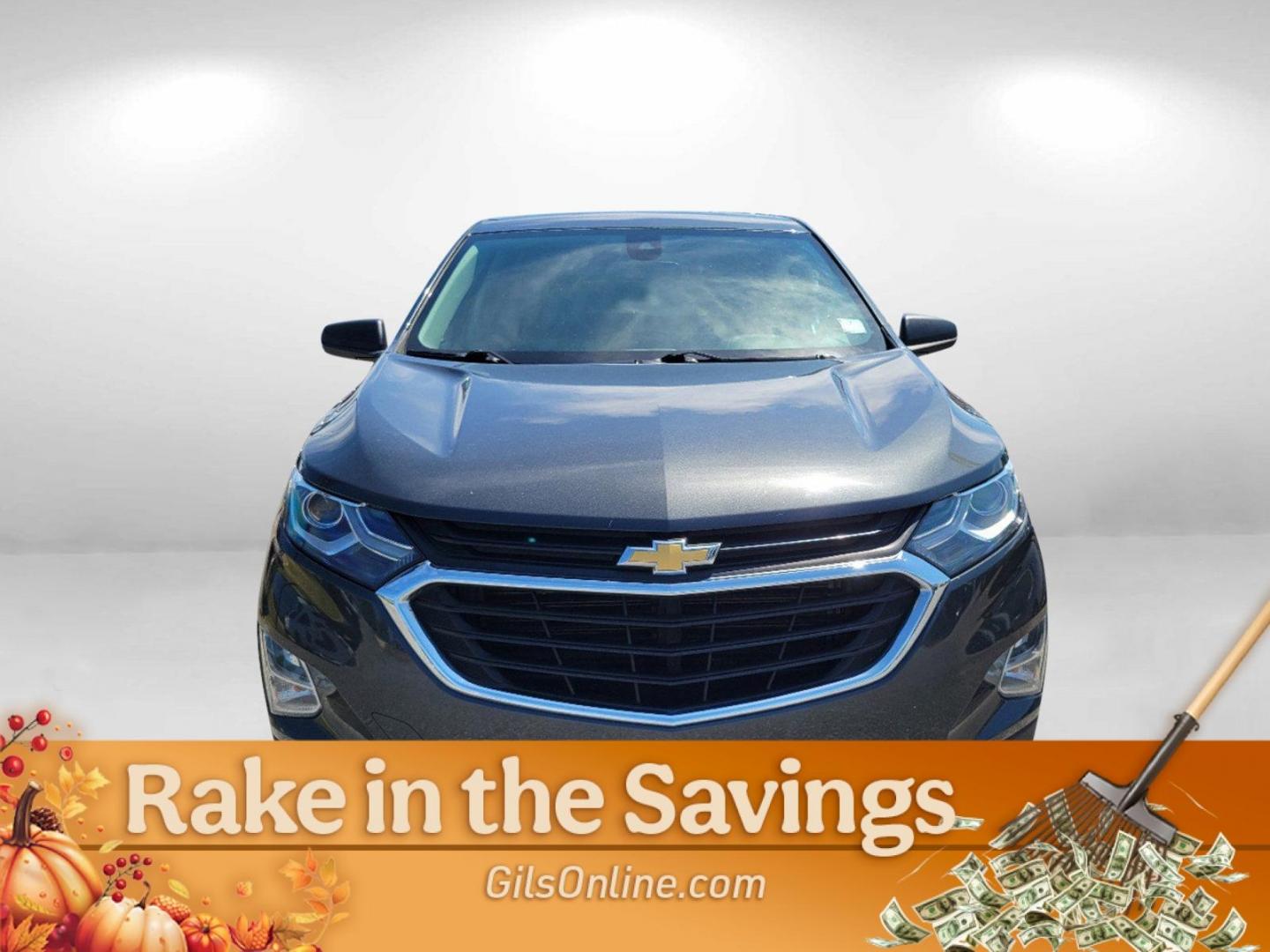 2020 Nightfall Gray Metallic /Medium Ash Gray Chevrolet Equinox LS (2GNAXHEVXL6) with an Turbocharged Gas I4 1.5L/92 engine, 6-Speed Automatic transmission, located at 804 22nd Ave, Phenix City, AL, 36870, (334) 297-1860, 32.484749, -85.024475 - 2020 Chevrolet Equinox LS - Photo#4