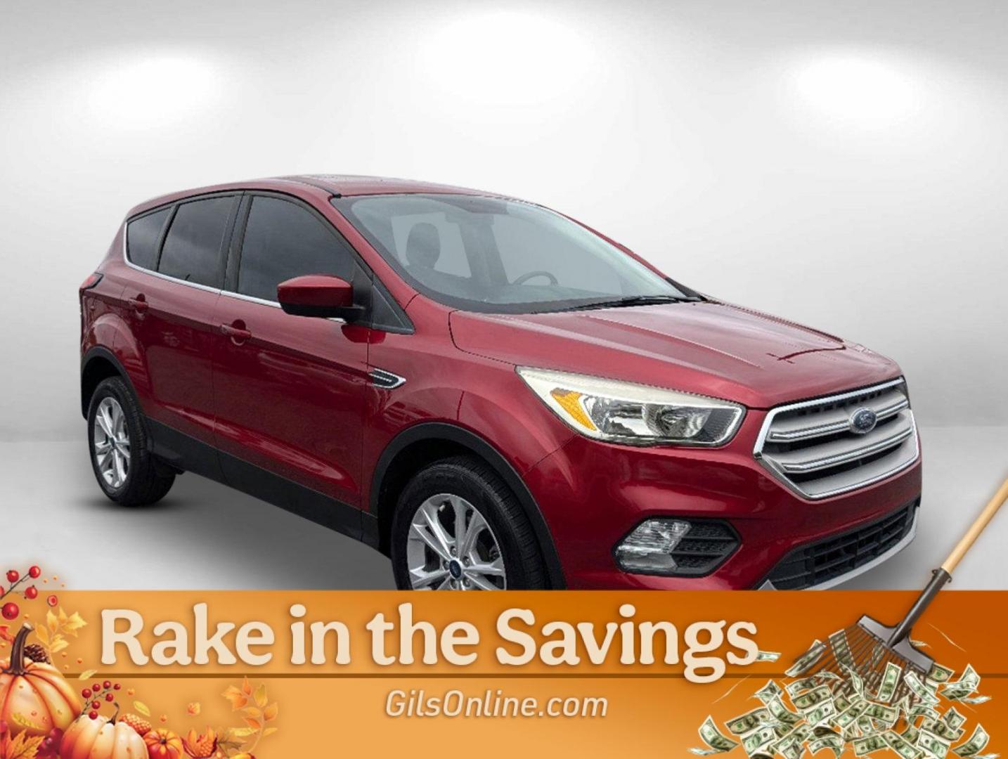 2019 Ford Escape SE (1FMCU0GD6KU) with an Intercooled Turbo Regular Unleaded I-4 1.5 L/92 engine, 6-Speed Automatic w/OD transmission, located at 1430 Gateway Drive, Opelika, AL, 36801, (334) 239-0944, 32.637871, -85.409790 - 2019 Ford Escape SE - Photo#5