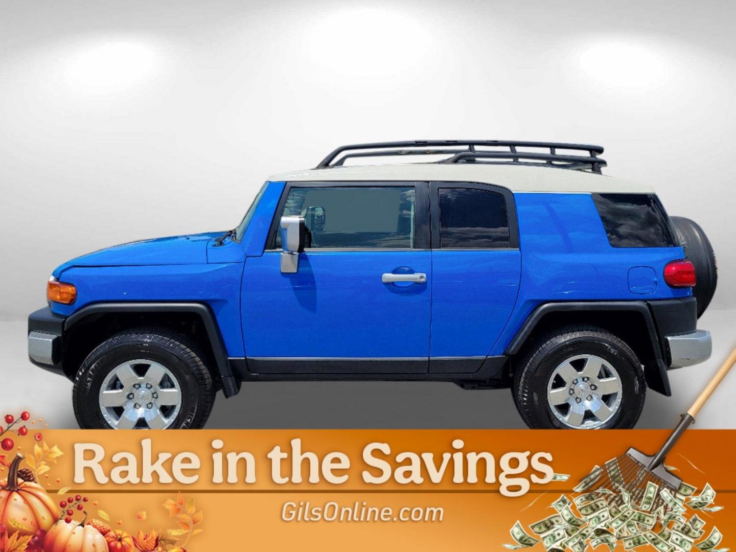 2008 Blue Toyota FJ Cruiser (JTEZU11F68K) with an Gas V6 4.0L/241 engine, 5-Speed Automatic w/OD transmission, located at 3959 U.S. 80 W, Phenix City, AL, 36870, (334) 297-4885, 32.469296, -85.135185 - 2008 Toyota FJ Cruiser - Photo#15