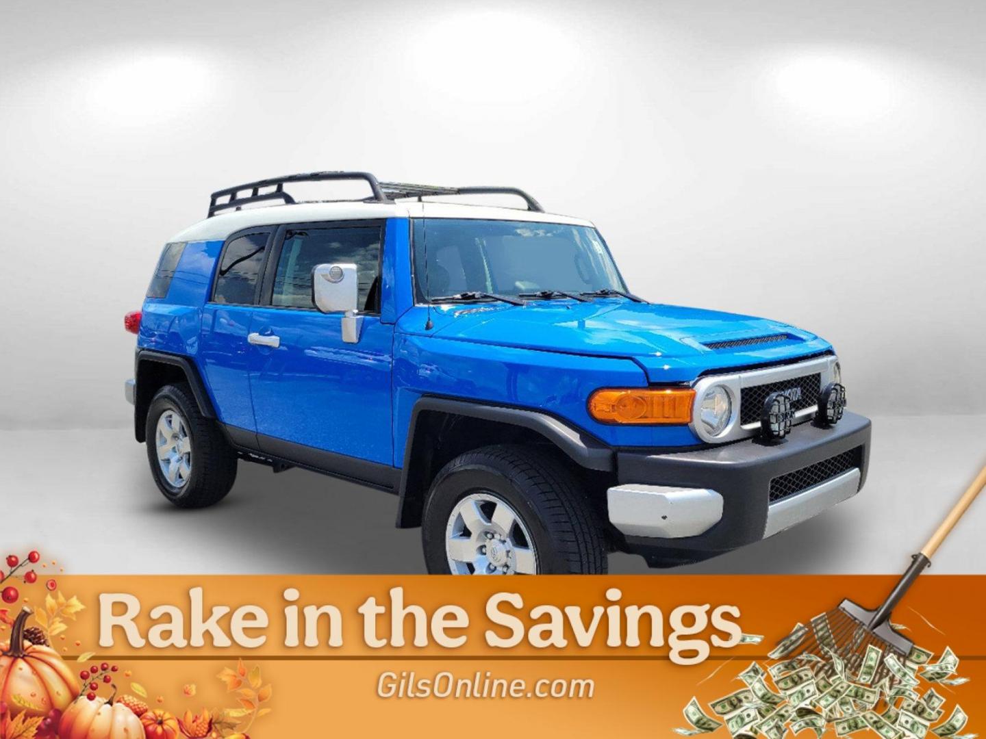 2008 Blue Toyota FJ Cruiser (JTEZU11F68K) with an Gas V6 4.0L/241 engine, 5-Speed Automatic w/OD transmission, located at 3959 U.S. 80 W, Phenix City, AL, 36870, (334) 297-4885, 32.469296, -85.135185 - 2008 Toyota FJ Cruiser - Photo#4