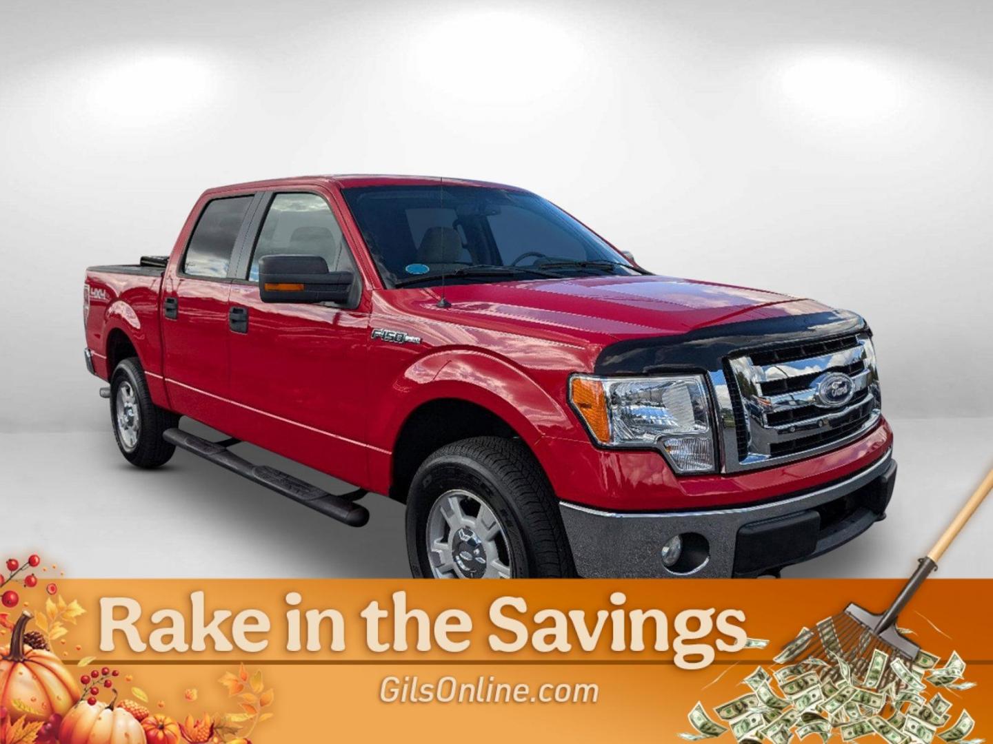 2010 Ford F-150 XLT (1FTFW1EV7AF) with an Gas/Ethanol V8 5.4L/330 engine, 6-Speed Automatic transmission, located at 5115 14th Ave., Columbus, GA, 31904, (706) 323-0345, 32.511494, -84.971046 - 2010 Ford F-150 XLT - Photo#8