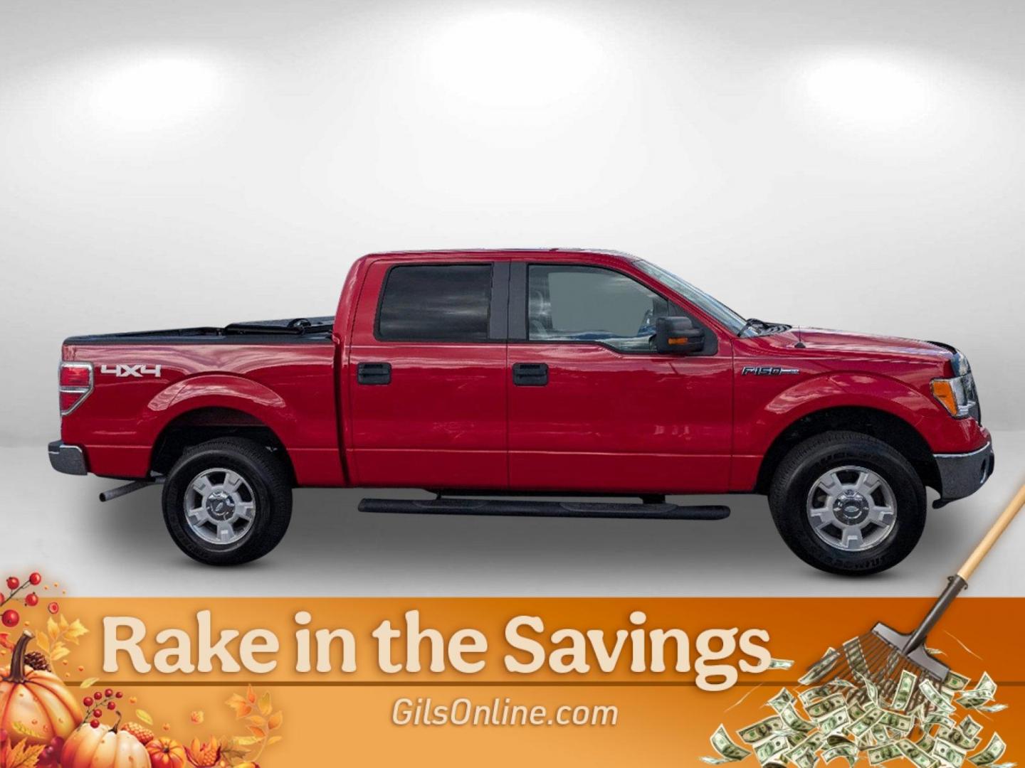 2010 Ford F-150 XLT (1FTFW1EV7AF) with an Gas/Ethanol V8 5.4L/330 engine, 6-Speed Automatic transmission, located at 5115 14th Ave., Columbus, GA, 31904, (706) 323-0345, 32.511494, -84.971046 - 2010 Ford F-150 XLT - Photo#10