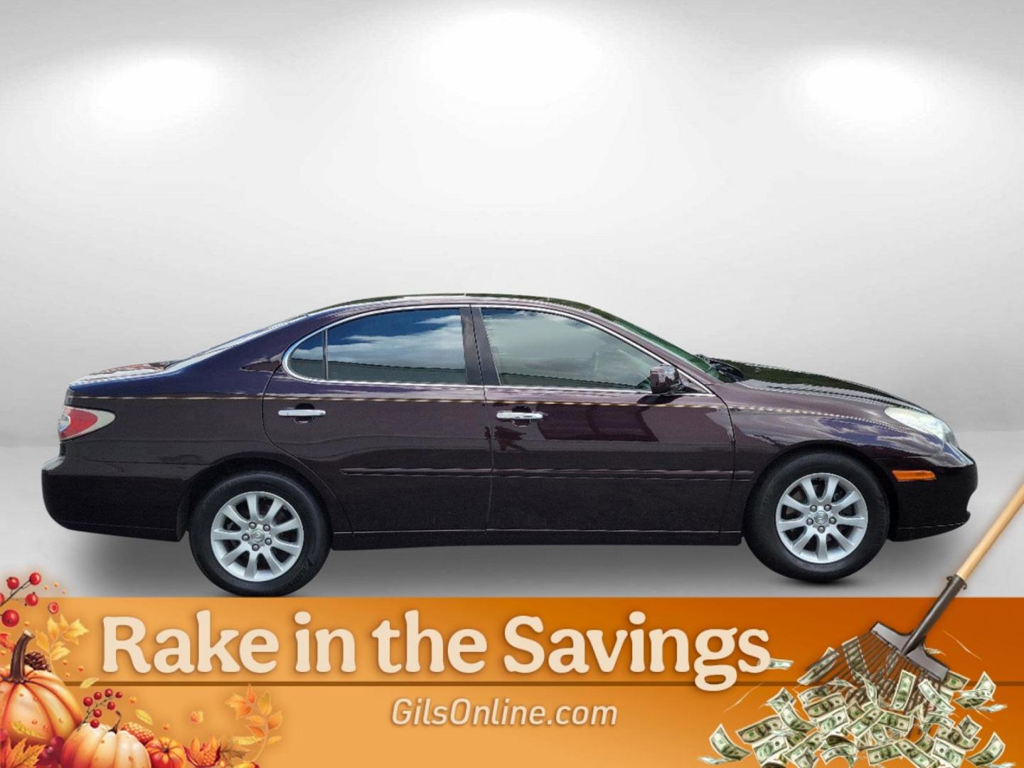 2002 Maroon Lexus ES 300 (JTHBF30GX25) with an Gas V6 3.0L/183 engine, 5-Speed Automatic w/OD transmission, located at 5115 14th Ave., Columbus, GA, 31904, (706) 323-0345, 32.511494, -84.971046 - 2002 Lexus ES 300 - Photo#3