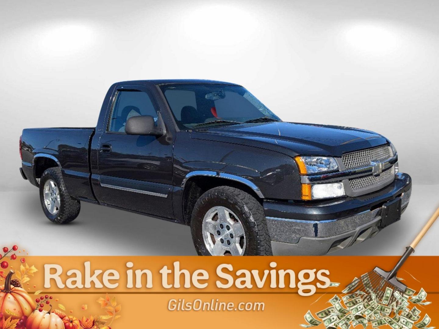 2005 /Dark Charcoal Chevrolet Silverado 1500 (1GCEC14X95Z) with an Gas V6 4.3L/262 engine, 4-Speed Automatic w/OD transmission, located at 521 Old Farm Lane Rd, Prattville, AL, 36066, (334) 325-1505, 32.482460, -86.416367 - 2005 Chevrolet Silverado 1500 - Photo#4