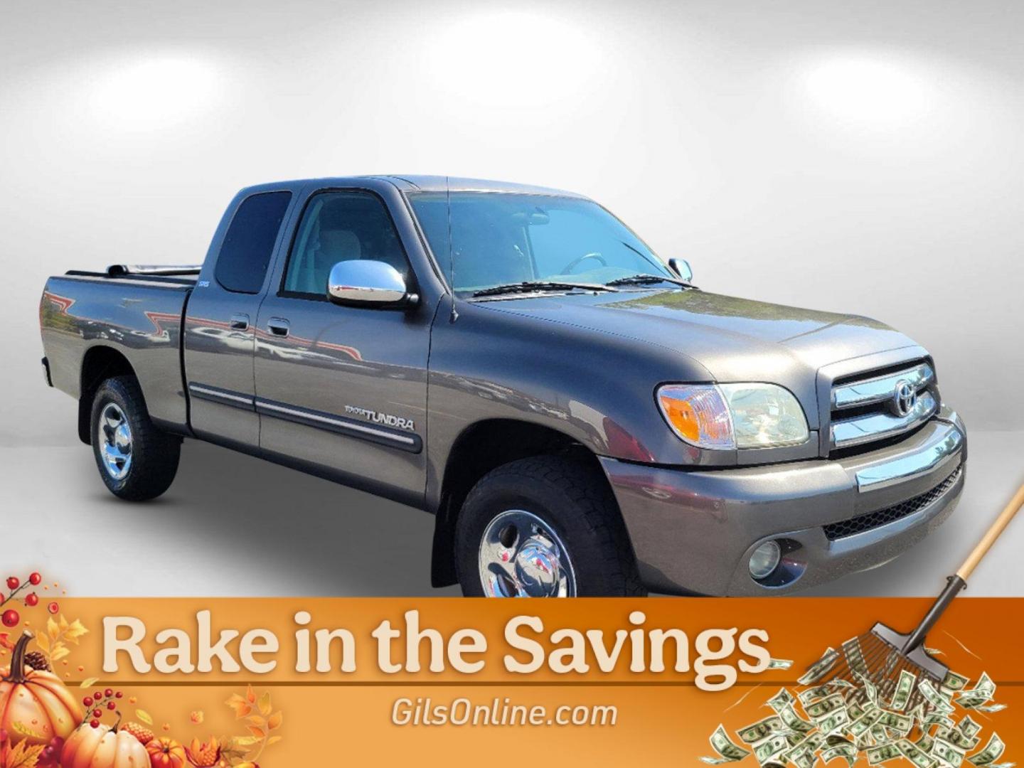 2006 PEWTER Toyota Tundra SR5 (5TBRU34136S) with an Gas V6 4.0L/241 engine, 5-Speed Automatic w/OD transmission, located at 521 Old Farm Lane Rd, Prattville, AL, 36066, (334) 325-1505, 32.482460, -86.416367 - 2006 Toyota Tundra SR5 - Photo#5