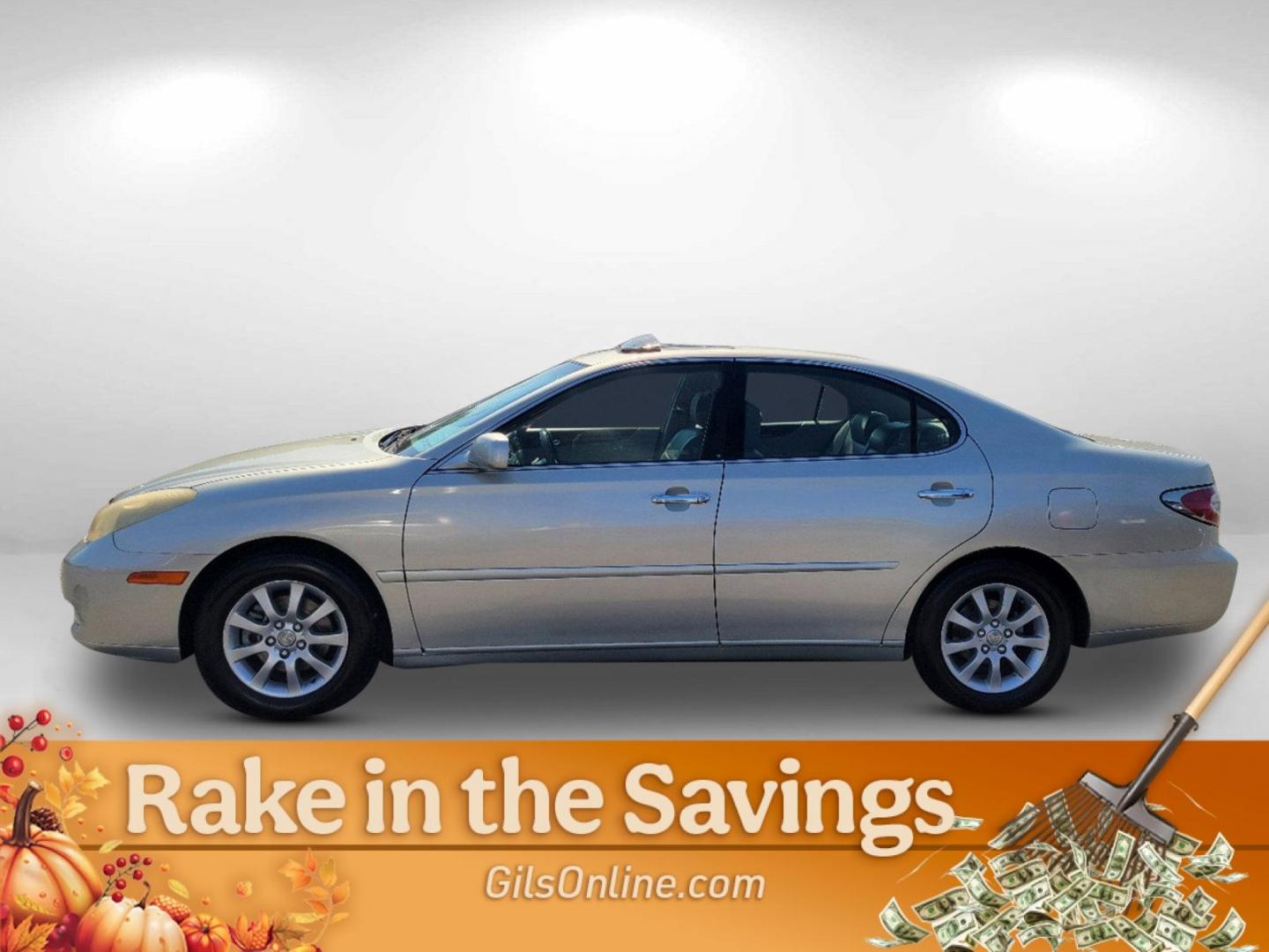 2004 Gray Lexus ES 330 (JTHBA30G445) with an Gas V6 3.3L/202 engine, 5-Speed Automatic w/OD transmission, located at 521 Old Farm Lane Rd, Prattville, AL, 36066, (334) 325-1505, 32.482460, -86.416367 - 2004 Lexus ES 330 - Photo#15