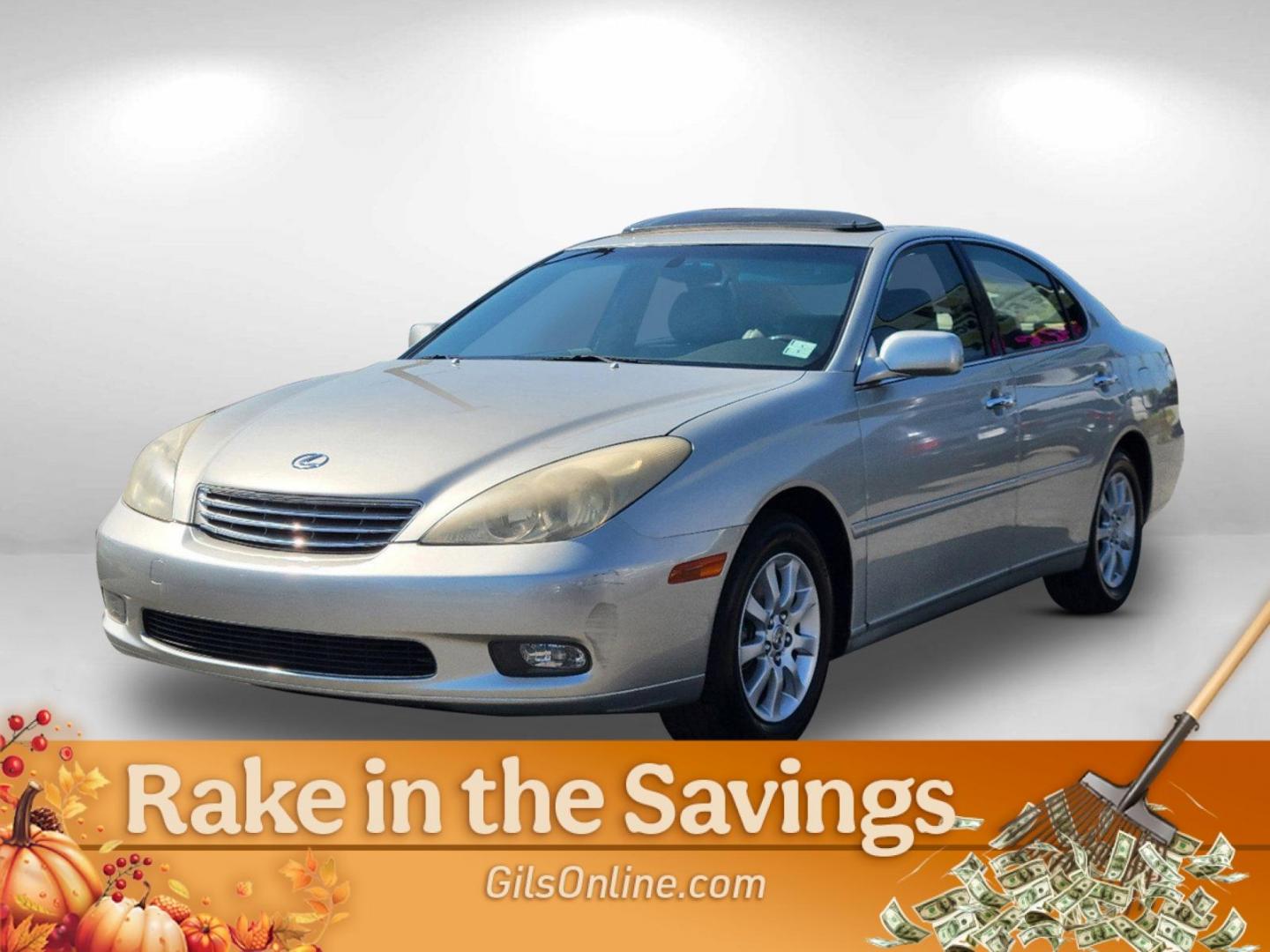 2004 Gray Lexus ES 330 (JTHBA30G445) with an Gas V6 3.3L/202 engine, 5-Speed Automatic w/OD transmission, located at 521 Old Farm Lane Rd, Prattville, AL, 36066, (334) 325-1505, 32.482460, -86.416367 - 2004 Lexus ES 330 - Photo#1