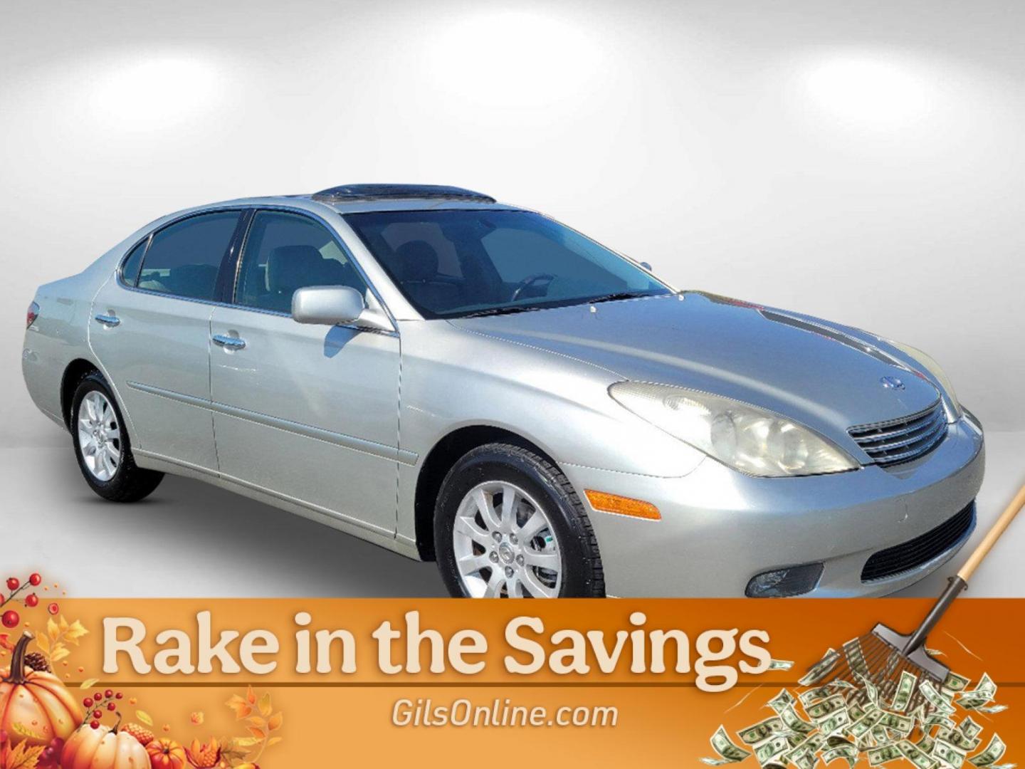 2004 Gray Lexus ES 330 (JTHBA30G445) with an Gas V6 3.3L/202 engine, 5-Speed Automatic w/OD transmission, located at 521 Old Farm Lane Rd, Prattville, AL, 36066, (334) 325-1505, 32.482460, -86.416367 - 2004 Lexus ES 330 - Photo#4