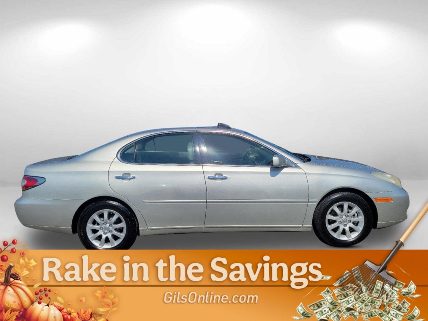 2004 Gray Lexus ES 330 (JTHBA30G445) with an Gas V6 3.3L/202 engine, 5-Speed Automatic w/OD transmission, located at 521 Old Farm Lane Rd, Prattville, AL, 36066, (334) 325-1505, 32.482460, -86.416367 - 2004 Lexus ES 330 - Photo#6