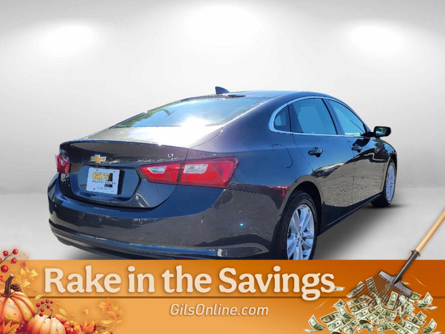 2016 Nightfall Gray Metallic /Jet Black Chevrolet Malibu LT (1G1ZE5STXGF) with an Turbocharged Gas I4 1.5L/91 engine, 6-Speed Automatic transmission, located at 3959 U.S. 80 W, Phenix City, AL, 36870, (334) 297-4885, 32.469296, -85.135185 - 2016 Chevrolet Malibu LT - Photo#4