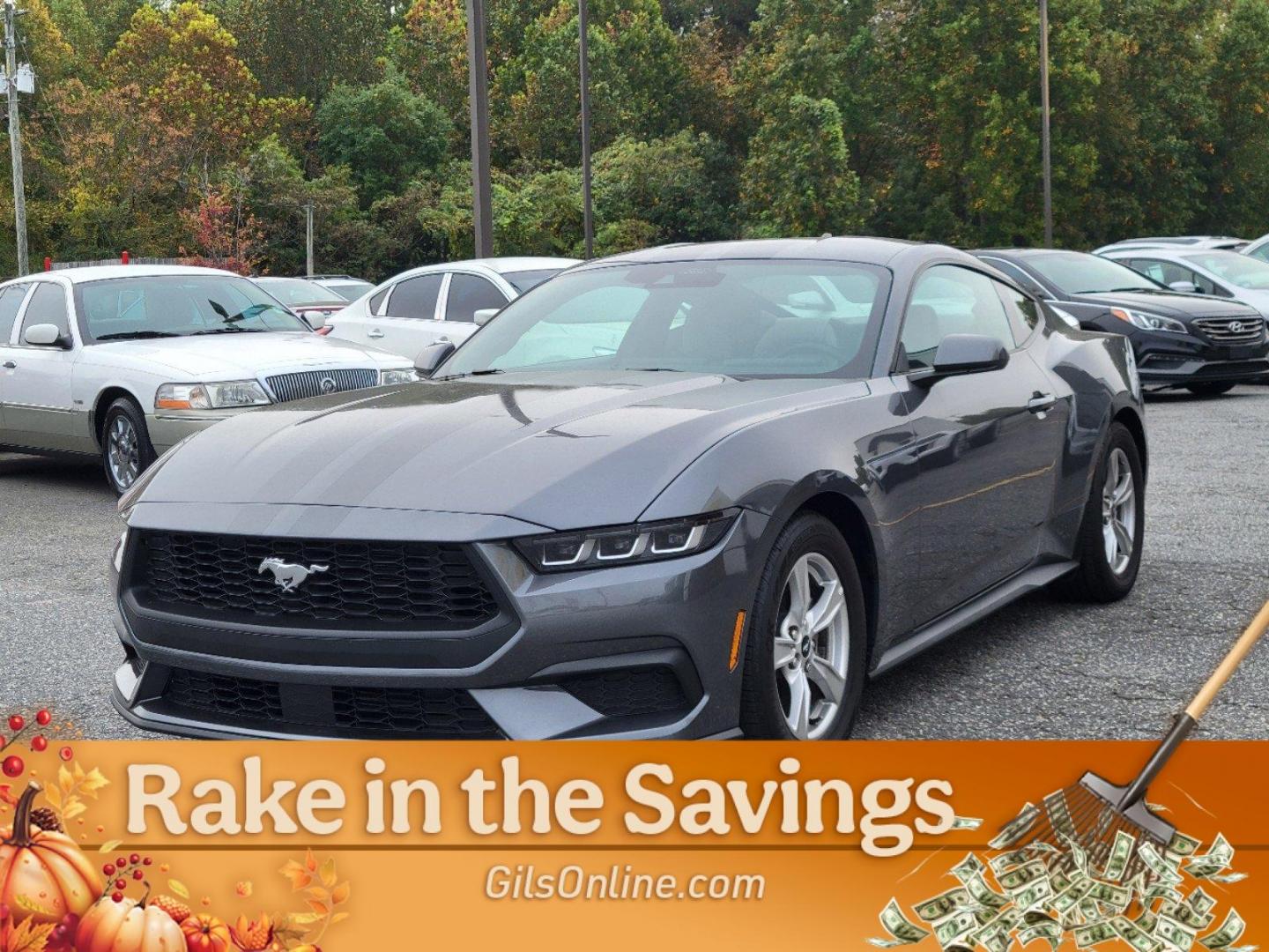 2024 Gray Ford Mustang EcoBoost (1FA6P8TH3R5) with an Intercooled Turbo Premium Unleaded I-4 2.3 L/140 engine, 10-Speed Automatic w/OD transmission, located at 3959 U.S. 80 W, Phenix City, AL, 36870, (334) 297-4885, 32.469296, -85.135185 - 2024 Ford Mustang EcoBoost - Photo#0