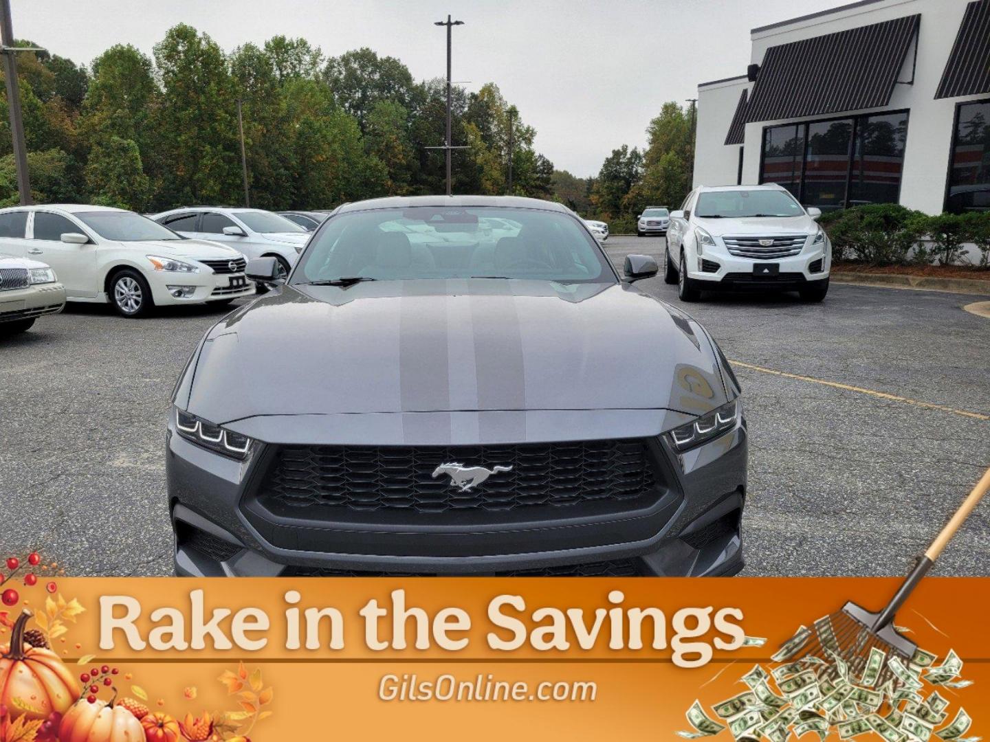 2024 Gray Ford Mustang EcoBoost (1FA6P8TH3R5) with an Intercooled Turbo Premium Unleaded I-4 2.3 L/140 engine, 10-Speed Automatic w/OD transmission, located at 3959 U.S. 80 W, Phenix City, AL, 36870, (334) 297-4885, 32.469296, -85.135185 - 2024 Ford Mustang EcoBoost - Photo#4