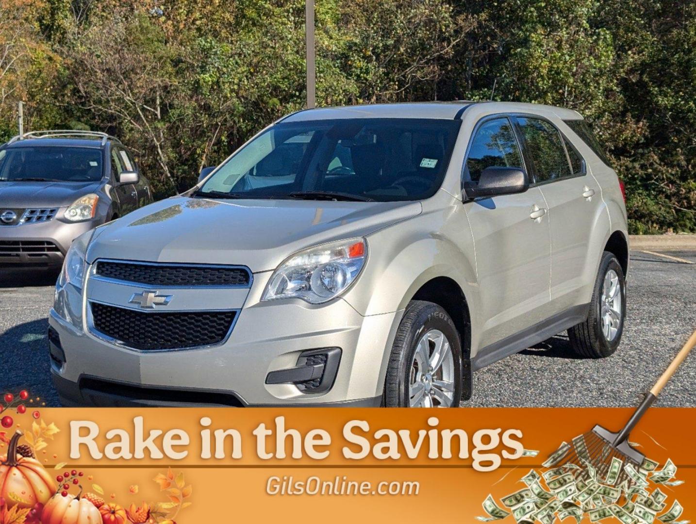 2013 Champagne Silver Metallic /Jet Black Chevrolet Equinox LS (2GNALBEK0D6) with an Gas/Ethanol I4 2.4/145 engine, 6-Speed Automatic transmission, located at 3959 U.S. 80 W, Phenix City, AL, 36870, (334) 297-4885, 32.469296, -85.135185 - 2013 Chevrolet Equinox LS - Photo#0