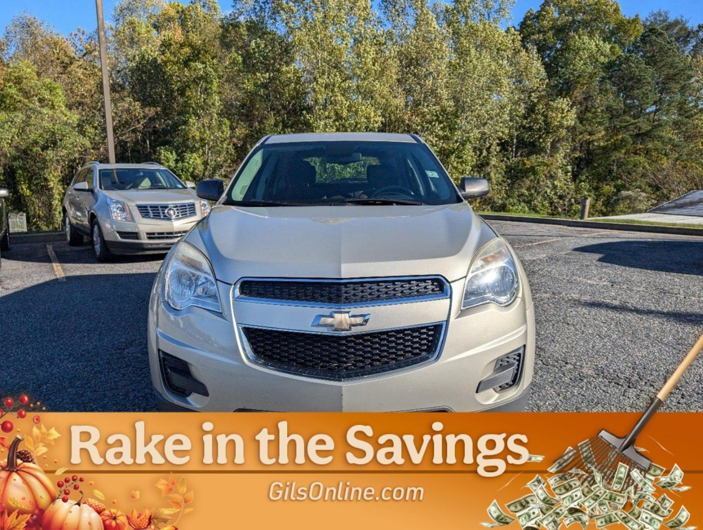 2013 Champagne Silver Metallic /Jet Black Chevrolet Equinox LS (2GNALBEK0D6) with an Gas/Ethanol I4 2.4/145 engine, 6-Speed Automatic transmission, located at 3959 U.S. 80 W, Phenix City, AL, 36870, (334) 297-4885, 32.469296, -85.135185 - 2013 Chevrolet Equinox LS - Photo#2